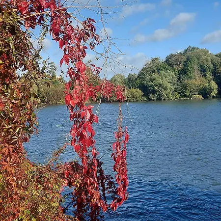 Les Seringats Poissy