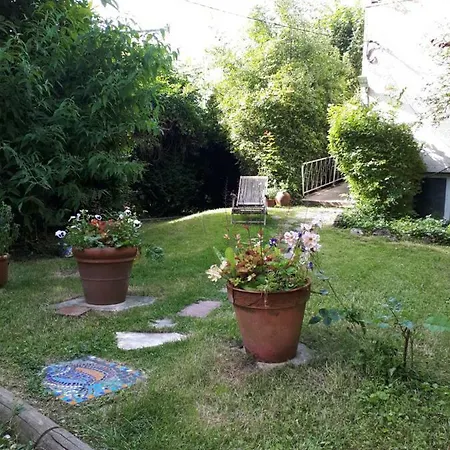 Les Seringats Poissy