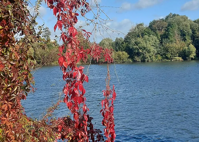 Les Seringats 프와시